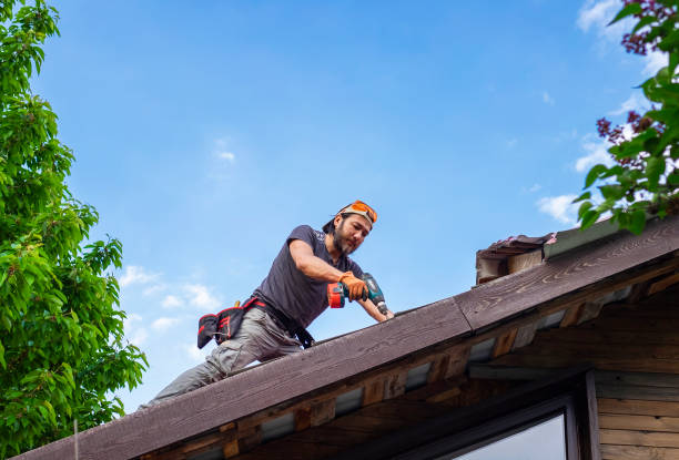 Best Roof Ventilation Installation  in Norton, KS
